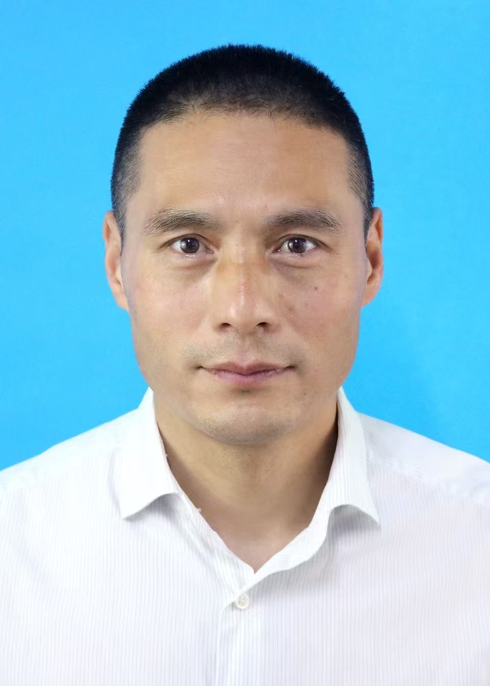 沈伟明